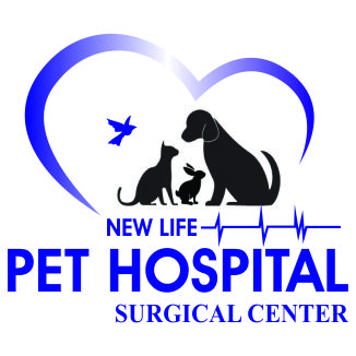 New Life Pet Hospital Surgical Center In Unapani Road, Surat | Doctor Veterinary Service Provider In Surat | 9586852475 New Life Pet Hospital Surgical Center In Unapani Road, Surat | Doctor Veterinary Service Provider In Surat | 9586852475